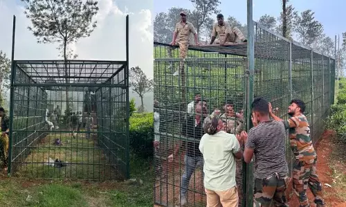 KERALA :  पहली बार वन विभाग एक ही पिंजरे में 4 बाघों को पकड़ने की तैयारी कर रहा