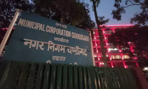 MC ने हरियाली को अपनाया, मनाया ‘स्वच्छ दीपोत्सव’