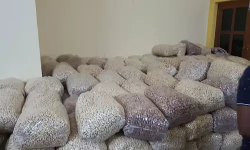 FDA ने कलंगुट में 3 लाख रुपये मूल्य के घटिया काजू जब्त किए