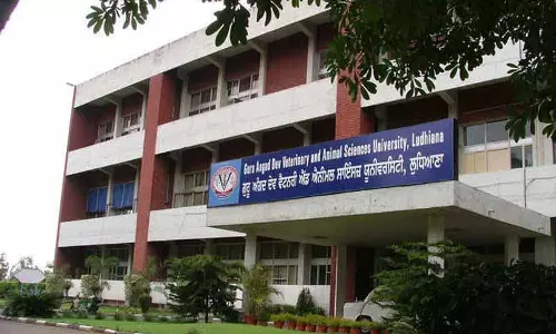 Ludhiana: पशुओं में एंटीबायोटिक दवाओं के विवेकपूर्ण उपयोग के बारे में प्रशिक्षित किया Ludhiana: पशुओं में एंटीबायोटिक दवाओं के विवेकपूर्ण उपयोग के बारे में प्रशिक्षित किया