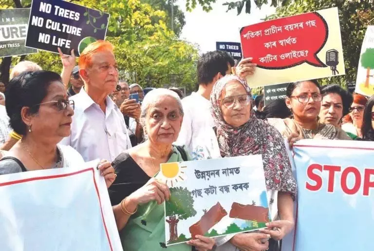 Flyovers के लिए सौ साल पुराने पेड़ों को काटने की सरकार की योजना का विरोध