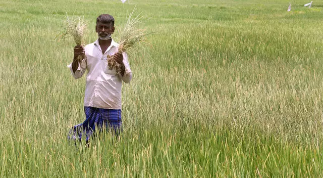 Crop Insurance Delay: किसान रेल रोको आंदोलन करेंगे