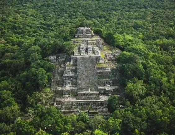 Mexico के जंगलों में छिपा एक महानगर: बाहर निकला छिपने का ठिकाना