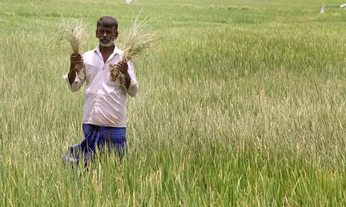Crop Insurance Delay: किसान रेल रोको आंदोलन करेंगे Crop Insurance Delay: किसान रेल रोको आंदोलन करेंगे