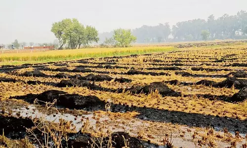किसानों के खिलाफ एफआईआर SKM 5 नवंबर को कुरुक्षेत्र में पंचायत करेगा