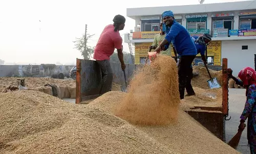 Haryana :  प्रॉक्सी’ खरीद मंडी सचिवों को सीसीटीवी फुटेज जांचने का निर्देश