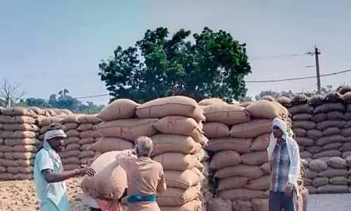 Punjab: केंद्र ने धान भंडारण पर दो-आयामी रणनीति अपनाई
