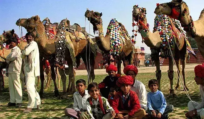 Jhalawar: 12 से 20 नवंबर तक आयोजित होगा चंद्रभागा (कार्तिक) पशु मेला Jhalawar: 12 से 20 नवंबर तक आयोजित होगा चंद्रभागा (कार्तिक) पशु मेला