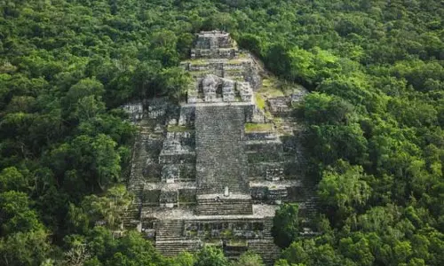 Mexico के जंगलों में छिपा एक महानगर: बाहर निकला छिपने का ठिकाना