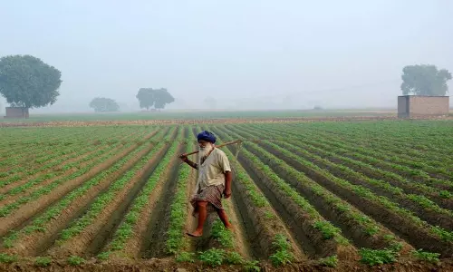 विपक्षी नेताओं का दावा, Haryana के किसान DAP खाद की कमी से जूझ रहे विपक्षी नेताओं का दावा, Haryana के किसान DAP खाद की कमी से जूझ रहे