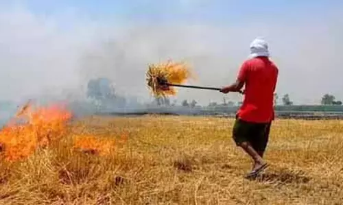 Ludhiana DC ने पराली जलाने के मामलों और कार्रवाई की स्थिति की समीक्षा की Ludhiana DC ने पराली जलाने के मामलों और कार्रवाई की स्थिति की समीक्षा की