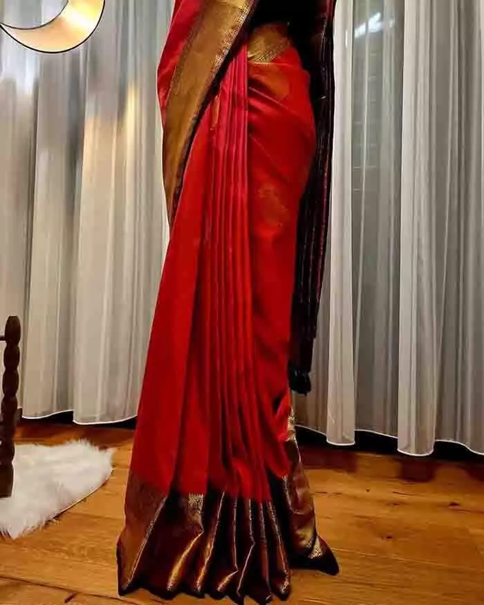 Seedha Pallu Saree: इन टिप्स की मदद से कॉटन से लेकर सिल्क तक की साड़ियों में आसानी से कैरी कर सकती है