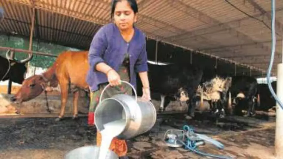 Arunachal ने पशुपालन, मत्स्य पालन क्षेत्रों के उत्थान के लिए केंद्र से सहयोग मांगा