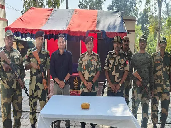 BSF ने अमृतसर के एक गांव से ड्रोन और नशीला पदार्थ बरामद किया