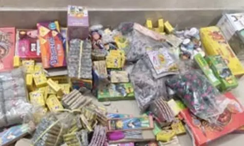 रेल यात्रियों की सुरक्षा के लिए भोपाल रेल मंडल ने पुख्ता इंतजाम किए, पटाखे लेकर यात्रा करने वालों पर सख्ती रेल यात्रियों की सुरक्षा के लिए भोपाल रेल मंडल ने पुख्ता इंतजाम किए, पटाखे लेकर यात्रा करने वालों पर सख्ती