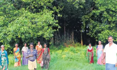 तमिलनाडु के गांव में दीपावली पर पटाखों को लेकर चमगादड़ों का अड्डा बना तमिलनाडु के गांव में दीपावली पर पटाखों को लेकर चमगादड़ों का अड्डा बना