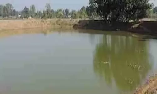 काम में व्यस्त थे माता-पिता, तालाब में डूबा मासूम