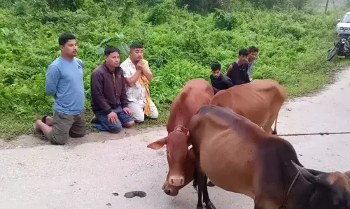 Margherita: स्थानीय लोगों ने छह मवेशी चोरों को पकड़ा