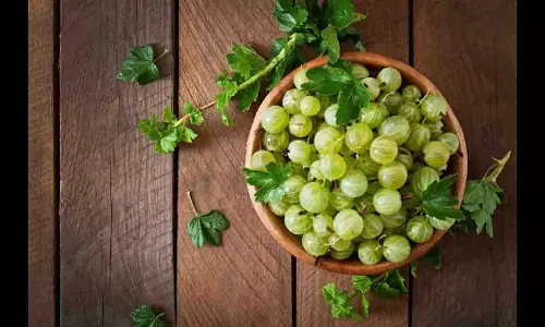 Benefits of Amla: खाली पेट खाएं आंवला, मिलेंगे ये कमाल के स्वास्थ्य  लाभ
