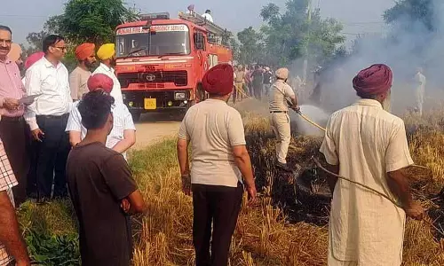 Punjab में खेतों में आग लगने की 110 नई घटनाएं