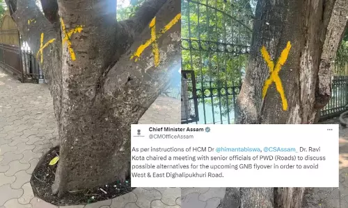 Assam सरकार गुवाहाटी में विरासत के पेड़ों को संरक्षित