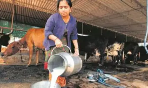 Arunachal ने पशुपालन, मत्स्य पालन क्षेत्रों के उत्थान के लिए केंद्र से सहयोग मांगा Arunachal ने पशुपालन, मत्स्य पालन क्षेत्रों के उत्थान के लिए केंद्र से सहयोग मांगा