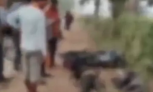 गाय से टकराई बाइक, 2 युवक गंभीर रूप से घायल