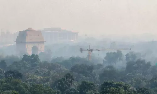 आपके इलाके में जहरीली हवा? तो बचाव के लिए करें ये उपाय आपके इलाके में जहरीली हवा? तो बचाव के लिए करें ये उपाय