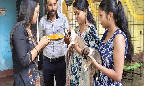 Animal ऑर्गेनाइजेशन ने कुत्तों के सम्मान में कुकुर-तिहार उत्सव मनाया
