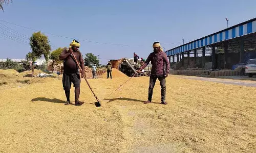 Panchkula DC ने कहा, एजेंसियों द्वारा 3,820 मीट्रिक टन धान खरीदा गया