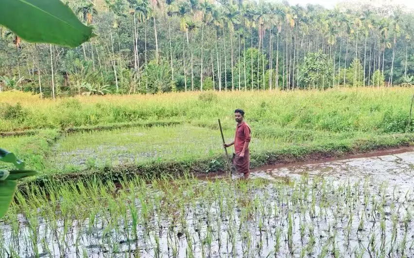 Thavalakkuzhippaadam: जंगल के बीचोबीच एक अलग-थलग आदिवासी गांव