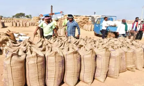 UP में आज से शुरू होगी धान की खरीदी UP में आज से शुरू होगी धान की खरीदी