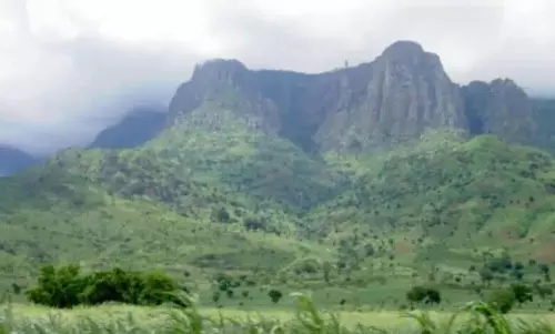 भारत ने अद्यतन जैव विविधता योजना में 30% संरक्षित क्षेत्रों के लिए प्रतिबद्धता जताई भारत ने अद्यतन जैव विविधता योजना में 30% संरक्षित क्षेत्रों के लिए प्रतिबद्धता जताई
