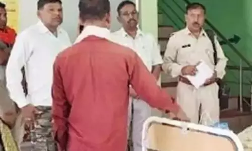 पागल लोमड़ी का आतंक कोरबा में, वन विभाग अलर्ट