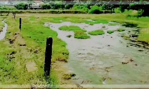 GOA: कुन्कोलिम में गंदे पानी से कृषि क्षेत्र प्रदूषित GOA: कुन्कोलिम में गंदे पानी से कृषि क्षेत्र प्रदूषित