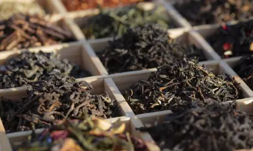 Darjeeling चाय उद्योग ने नेपाल से आयातित सभी चाय की अनिवार्य जांच की मांग की