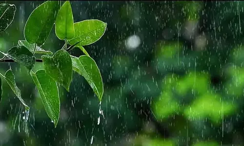 Kerala: रविवार तक भारी बारिश की संभावना, 2 जिलों में ऑरेंज अलर्ट