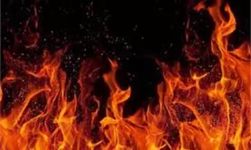 Chandigarh: हरियाणा में दीपावली की रात कई स्थानाें पर लगी आग