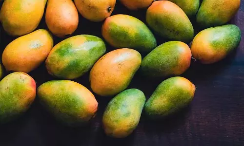 Odisha में आम की गुठली का दलिया खाने से दो लोगों की मौत, 6 बीमार Odisha में आम की गुठली का दलिया खाने से दो लोगों की मौत, 6 बीमार