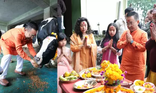 Sikkim के मुख्यमंत्री ने लक्ष्मी पूजा के दौरान पारंपरिक गौ माता की पूजा की Sikkim के मुख्यमंत्री ने लक्ष्मी पूजा के दौरान पारंपरिक गौ माता की पूजा की