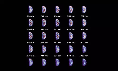 Hyperspectral छवियों में पृथ्वी निश्चित रूप से डरावनी दिखी