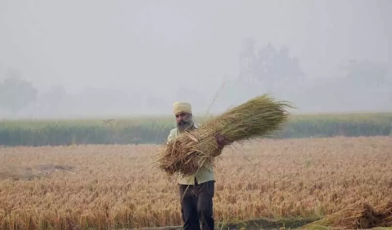 हरियाणा और पंजाब के कई हिस्सों में AQI खराब बना हुआ