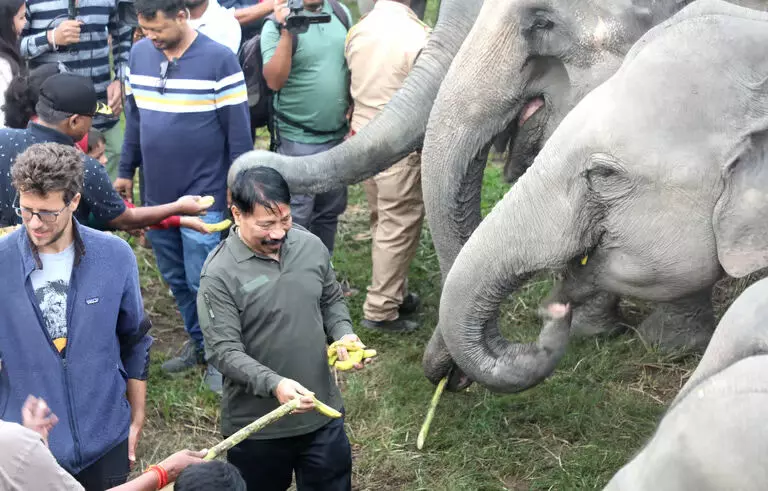 Assam :  कृषि मंत्री अतुल बोरा ने काजीरंगा राष्ट्रीय उद्यान और टाइगर रिजर्व में हाथी सफारी का उद्घाटन