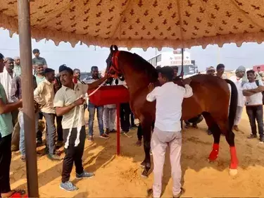 Ajmer जिले के पुष्कर में लगने वाले सबसे बड़े पशु मेले की शुरुआत