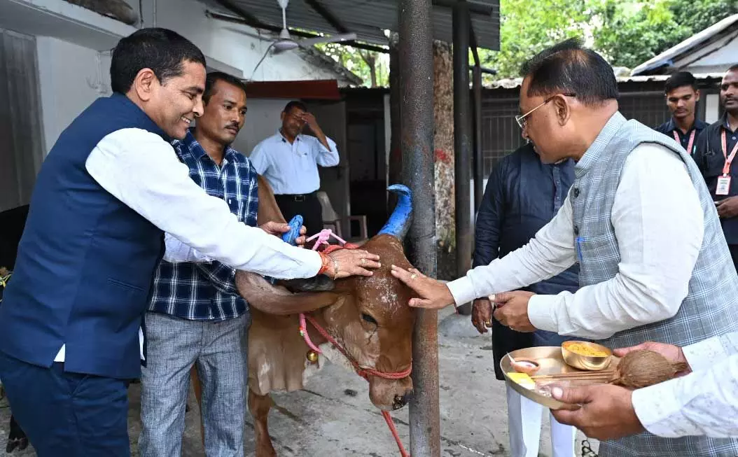 CM विष्णुदेव साय ने गोवर्धन पूजा के अवसर पर गौ वंश की पूजा-अर्चना की