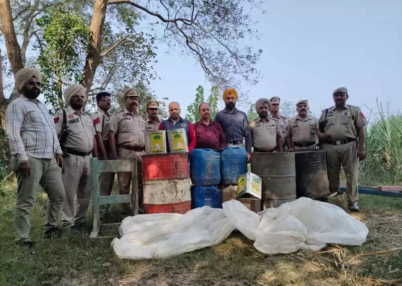 Beas River के किनारे के गांवों से 11,500 किलोग्राम लाहन जब्त