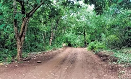 Karnataka: आईआईएससी बांदीपुर रिजर्व में जल विज्ञान संबंधी अध्ययन करेगा Karnataka: आईआईएससी बांदीपुर रिजर्व में जल विज्ञान संबंधी अध्ययन करेगा