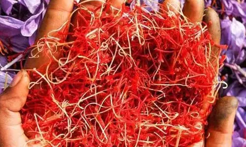 Dir Agri ने पंपोर के केसर क्षेत्रों का दौरा किया