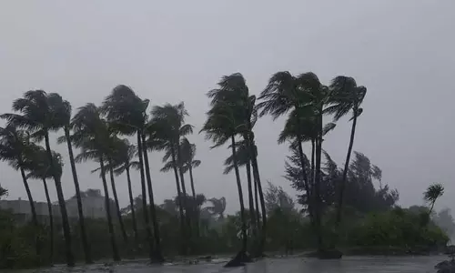 Kerala में तेज हवा और आंधी की चेतावनी: 8 जिलों में अलर्ट Kerala में तेज हवा और आंधी की चेतावनी: 8 जिलों में अलर्ट