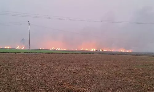 Haryana : दो दिनों में खेतों में आग लगने की 77 घटनाएं दर्ज